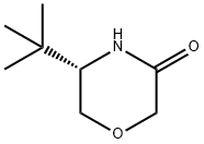 (5S)-5-(1,1-diMethylethyl-3-Morpholinone 结构式