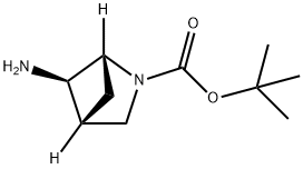 (1R,4R,5R)-5-氨基-2-氮杂双环[2.1.1]己烷-2-羧酸叔丁酯 结构式