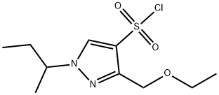 1-sec-butyl-3-(ethoxymethyl)-1H-pyrazole-4-sulfonyl chloride 结构式
