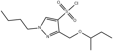 3-(sec-butoxymethyl)-1-butyl-1H-pyrazole-4-sulfonyl chloride 结构式