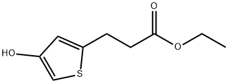 2-Thiophenepropanoic acid, 4-hydroxy-, ethyl ester 结构式