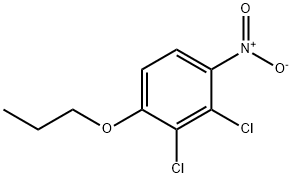 Benzene, 2,3-dichloro-1-nitro-4-propoxy- 结构式