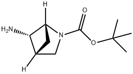 (1R,4R,5S)-5-氨基-2-氮杂双环[2.1.1]己烷-2-羧酸叔丁酯 结构式