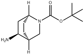 (1R,4R,5S)-5-氨基-2-氮杂双环螺[2.2.2]辛烷-2-羧酸叔丁酯 结构式