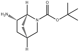 (1S,4S,6S)-6-氨基-2-氮杂双环[2.2.1]庚烷-2-羧酸叔丁酯 结构式