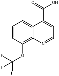 8-(三氟甲氧基)喹啉-4-羧酸 结构式