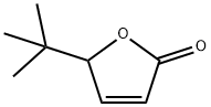 5-叔丁基-2(5H)-呋喃酮 结构式