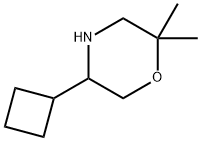 Morpholine, 5-cyclobutyl-2,2-dimethyl- 结构式