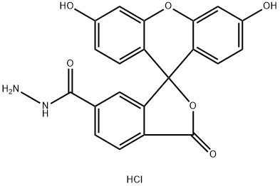 FAM HYDRAZIDE, 6-ISOMER 结构式