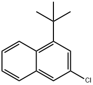1-(叔丁基)-3-氯萘 结构式
