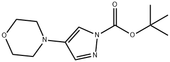 1H-Pyrazole-1-carboxylic acid, 4-(4-morpholinyl)-, 1,1-dimethylethyl ester 结构式