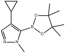 4-环丙基-1-甲基-5-(4,4,5,5-四甲基-1,3,2-二氧杂硼烷-2-基)-1H-吡唑 结构式