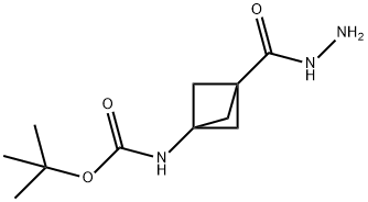 3-[[(1,1-Dimethylethoxy)carbonyl]amino]bicyclo[1.1.1]pentane-1-carboxylic acid hydrazide 结构式