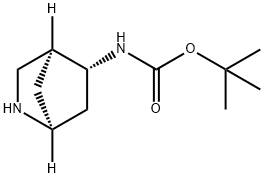 Carbamic acid, N-(1S,4S,5R)-2-azabicyclo[2.2.1]hept-5-yl-, 1,1-dimethylethyl ester 结构式