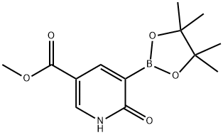 Methyl 6-oxo-5-(tetramethyl-1,3,2-dioxaborolan-2-yl)-1H-pyridine-3-carboxylate 结构式