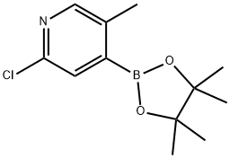 2-氯-5-甲基-4-(四甲基-1,3,2-二氧杂硼环戊烷-2-基)吡啶 结构式