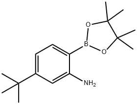 5-(叔丁基)-2-(4,4,5,5-四甲基-1,3,2-二氧杂硼烷-2-基)苯胺 结构式