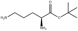 L-Ornithine, 1,1-dimethylethyl ester 结构式