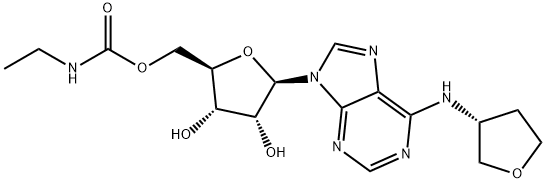 化合物 T31119 结构式