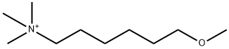 1-Hexanaminium, 6-methoxy-N,N,N-trimethyl- 结构式