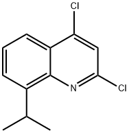 2,4-Dichloro-8-propan-2-ylquinoline 结构式