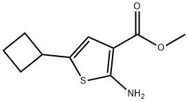 3-Thiophenecarboxylic acid, 2-amino-5-cyclobutyl-, methyl ester 结构式