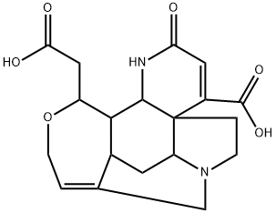 N,N-Dimethylformamidew 结构式