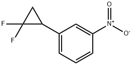1-(2，2-difluorocyclopropyl)-3-nitrobenzene 结构式