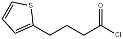 2-Thiophenebutanoyl chloride 结构式