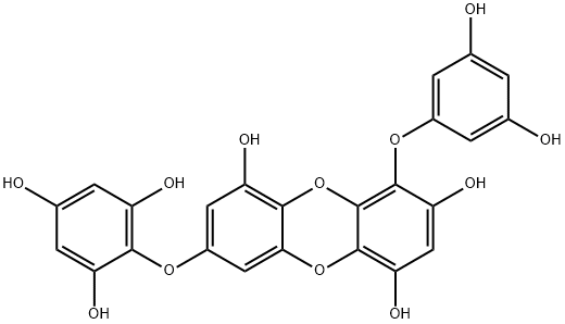 Dibenzo[b,e][1,4]dioxin-1,3,6-triol, 4-(3,5-dihydroxyphenoxy)-8-(2,4,6-trihydroxyphenoxy)- 结构式