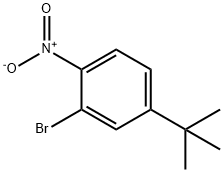 2-溴-4-(1,1-二甲基乙基)-1-硝基苯 结构式