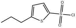 5-丙基噻吩-2-磺酰氯 结构式