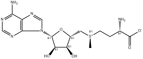 (R)-S-腺苷-L-蛋氨酸(R,S-SAM) 结构式