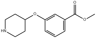 methyl 3-(piperidin-4-yloxy)benzoate 结构式