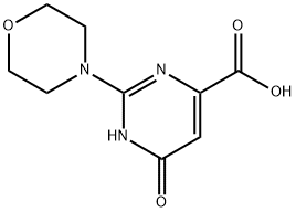 2-Morpholino-6-oxo-1,6-dihydropyrimidine-4-carboxylic acid 结构式