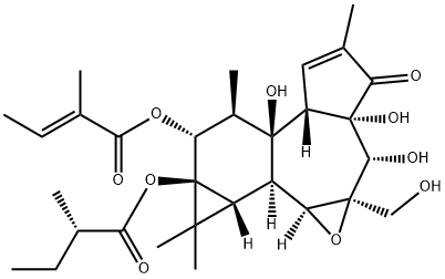 化合物 T28975 结构式