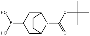 8-Boc-8-aza-bicyclo[3.2.1]octane-3-boronic acid 结构式