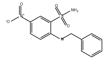 Benzenesulfonamide, 5-nitro-2-[(phenylmethyl)amino]- 结构式