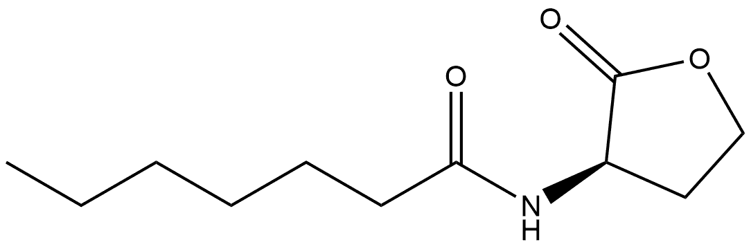 (R)-(+)-N-heptanoylhomoserine lactone 结构式