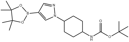 叔丁基(4-(4,4,5,5-四甲基-1,3,2-二氧苯甲醛-2-基)-1H-吡唑-1-基)环己基氨基甲酸酯 结构式