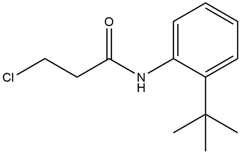 3-Chloro-N-[2-(1,1-dimethylethyl)phenyl]propanamide 结构式