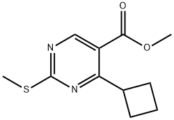 5-Pyrimidinecarboxylic acid, 4-cyclobutyl-2-(methylthio)-, methyl ester 结构式