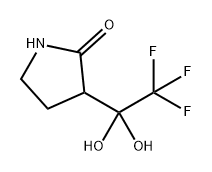 3-(2,2,2-三氟-1,1-二羟乙基)吡咯烷-2-酮 结构式