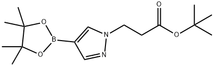 3-(4-(4,4,5,5-四甲基-1,3,2-二氧硼烷-2-基)-1H-吡唑-1-基)丙酸叔丁酯 结构式