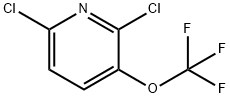 2,6-二氯-3-(三氟甲氧基)吡啶 结构式