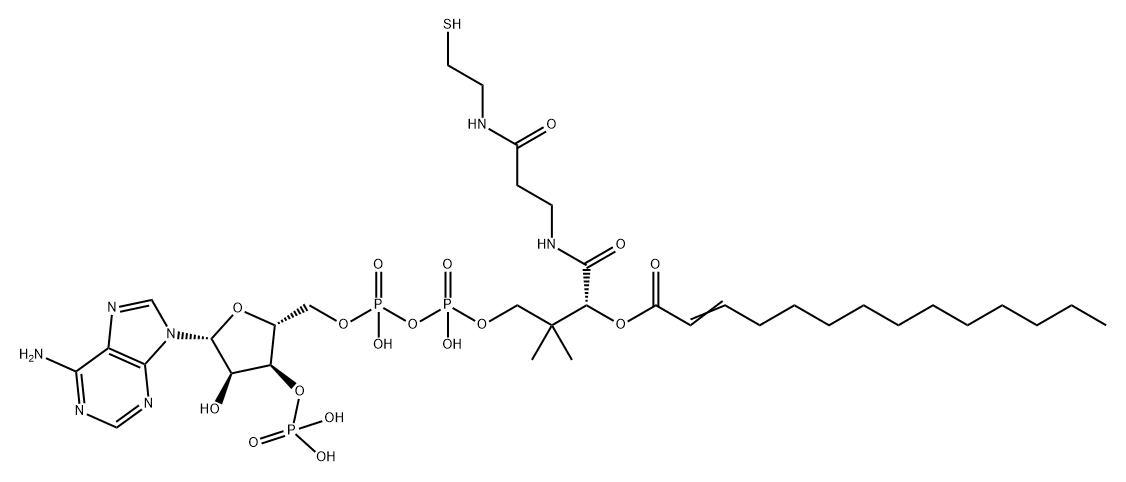 Coenzyme A, S-2-tetradecenoate 结构式