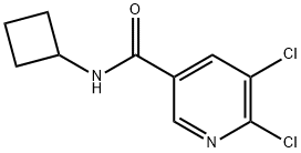 5,6-Dichloro-N-cyclobutylnicotinamide 结构式