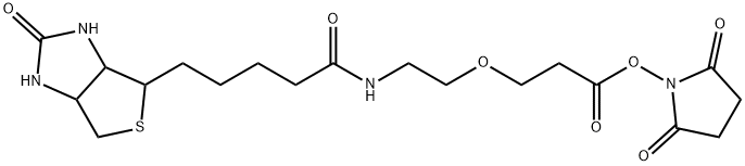 Biotin-PEG1-NHS ester 结构式