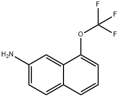 8-(Trifluoromethoxy)naphthalen-2-amine 结构式