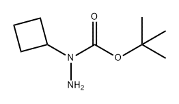 Hydrazinecarboxylic acid, 1-cyclobutyl-, 1,1-dimethylethyl ester 结构式